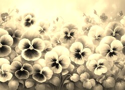 Szary + Sepia