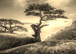 Sepia
