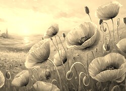 Szary + Sepia