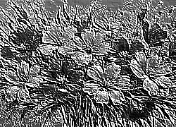 Skamielina