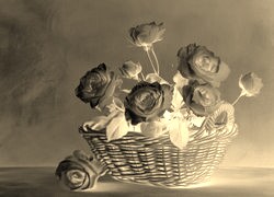 Sepia + Negatyw