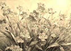 Szary + Sepia
