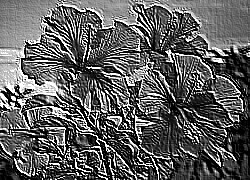Skamielina