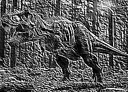 Skamielina
