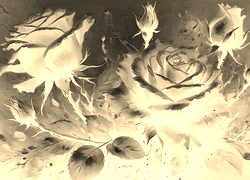 Sepia + Negatyw