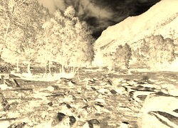 Sepia + Negatyw
