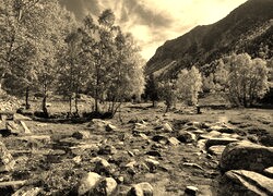 Szary + Sepia