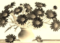 Sepia + Negatyw