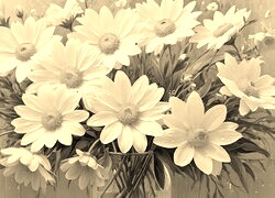 Szary + Sepia