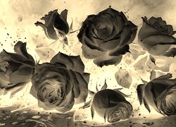 Sepia + Negatyw