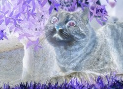 Negatyw