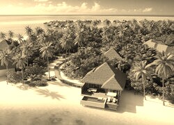 Szary + Sepia