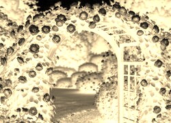 Sepia + Negatyw