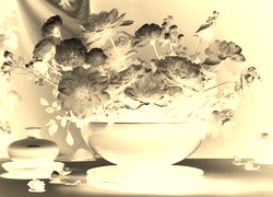 Sepia + Negatyw