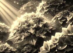Szary + Sepia