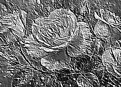 Skamielina