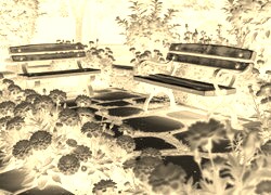 Sepia + Negatyw