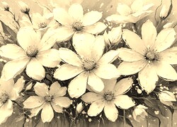 Szary + Sepia