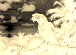 Sepia + Negatyw