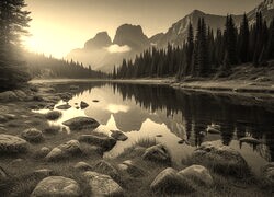 Szary + Sepia