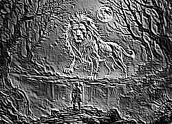 Skamielina