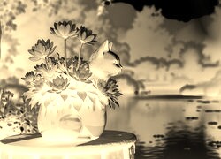 Sepia + Negatyw