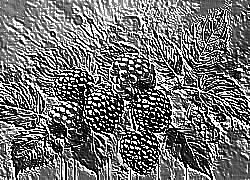 Skamielina