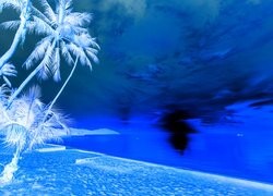 Negatyw
