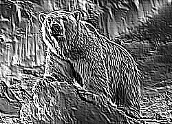 Skamielina