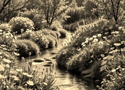 Sepia