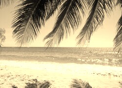 Szary + Sepia