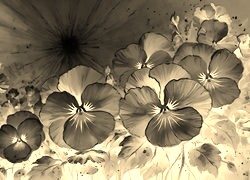 Sepia + Negatyw