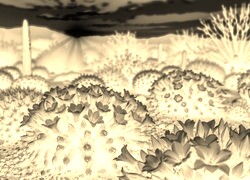 Sepia + Negatyw