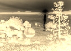 Sepia + Negatyw