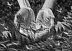 Skamielina