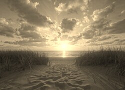 Sepia