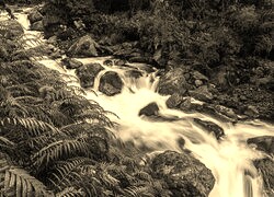 Sepia