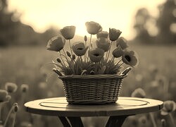Sepia