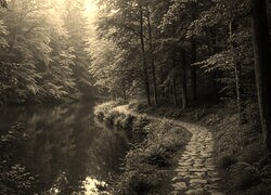 Szary + Sepia