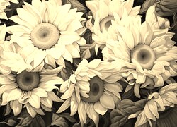 Szary + Sepia