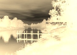 Sepia + Negatyw