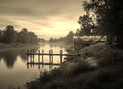 Szary + Sepia