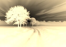 Sepia + Negatyw