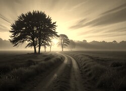Szary + Sepia