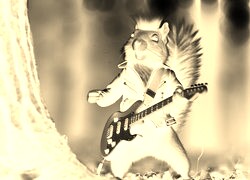 Sepia + Negatyw