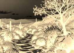 Sepia + Negatyw