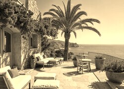 Szary + Sepia