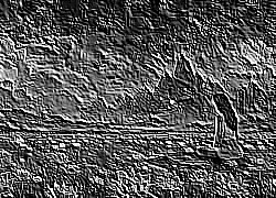 Skamielina