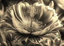 Sepia