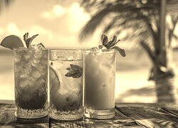 Szary + Sepia